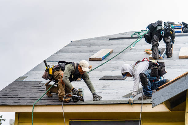 Professional Roofing technician working in Lummi Island, WA